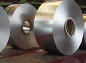 Web / Film Laminated Perak